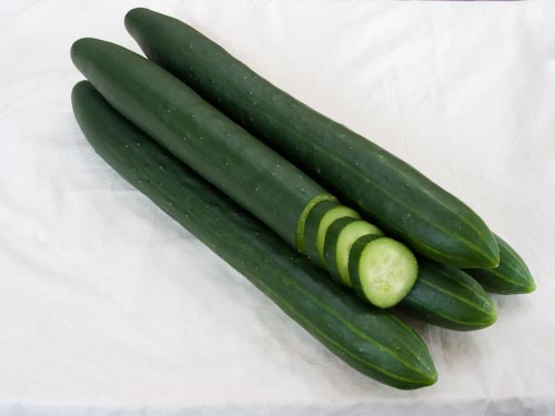 Salatgurken