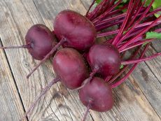 Ägyptische plattrunde