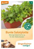 Bunte Salatplatte