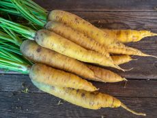 Gelbe Gochsheimer (AS)