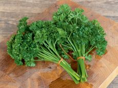 Grüne Perle 2 - geprimt