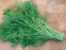 Dill