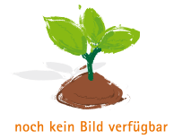 Buntes Steckzwiebeltrio