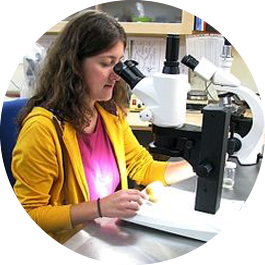 Pflanzengesundheitsuntersuchungen