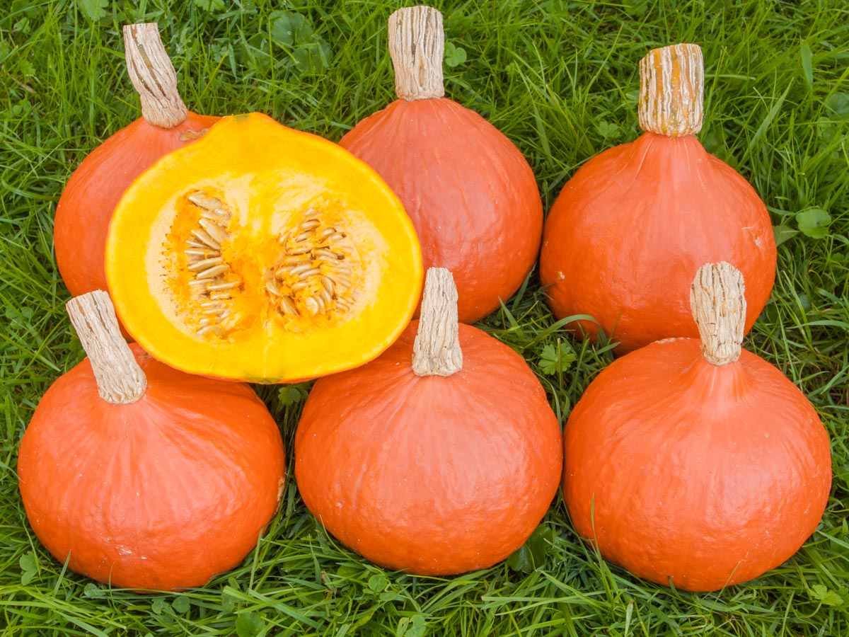 Nachrichtenbrief April 2023