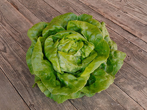 Nachrichtenbrief März 2023