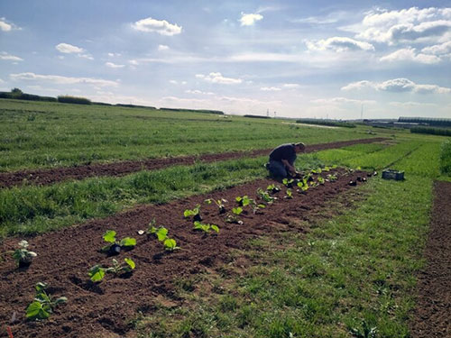 Nachrichtenbrief Mai/Juni 2023