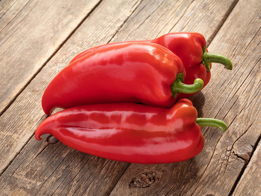 Nachrichtenbrief Januar 2023