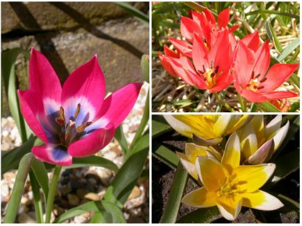 Nachrichtenbrief September/Oktober 2022