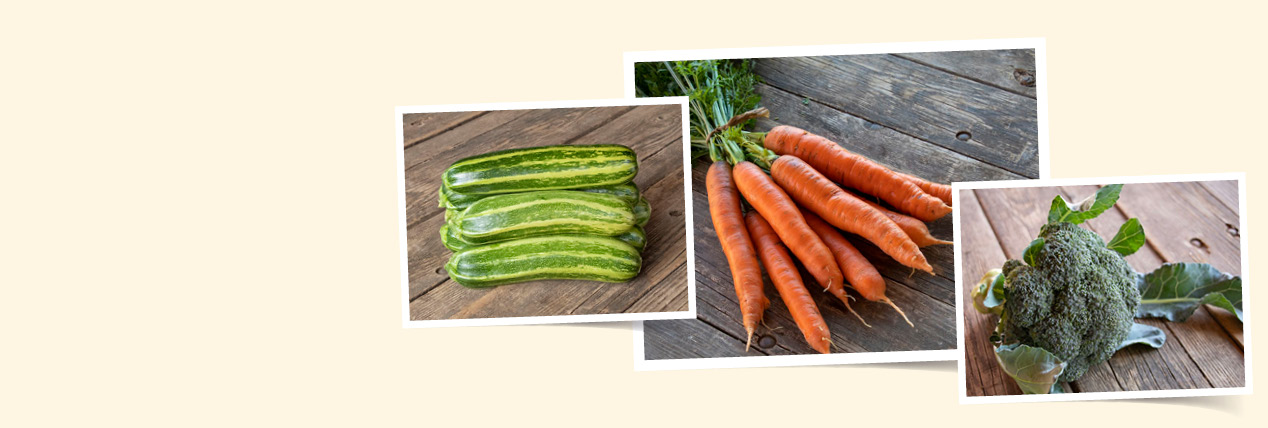 Image - Neu in unserem Sortiment