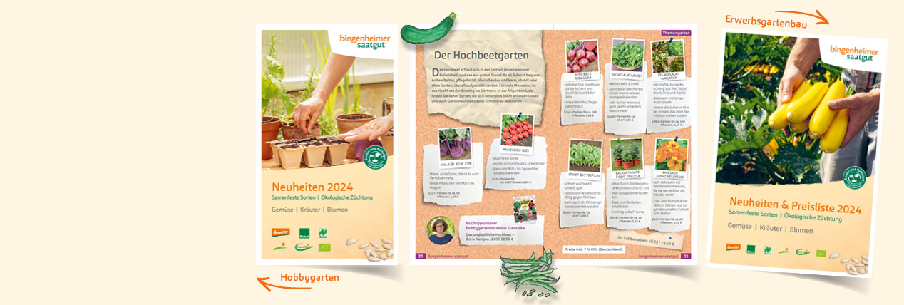 Image - Sommersaaten