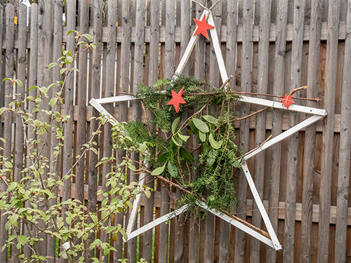 GARTEN-Nachrichten - Dezember 2022