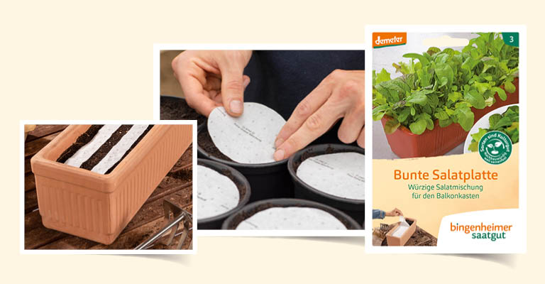 Image - Saatscheiben & Saatbänder