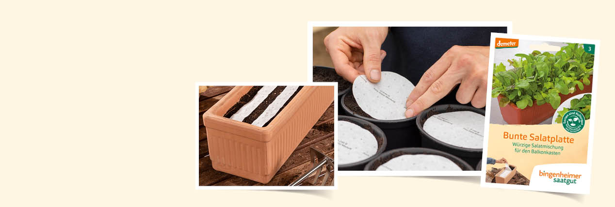 Image - Saatscheiben & Saatbänder